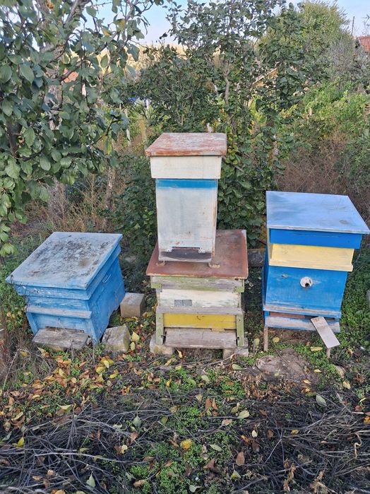 Оборудване за пчели