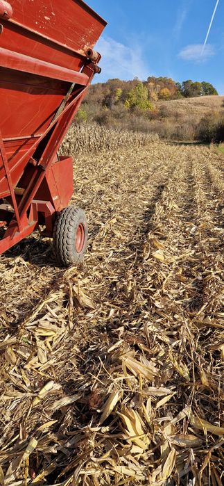 Sip Sempeter Eko 3500