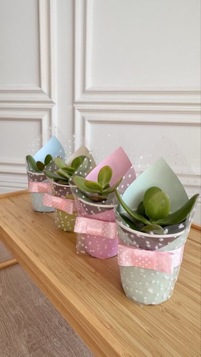 Тойбастар, учителю на 1 сентября