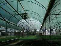 Plasa umbrire solar verde 40% latimi 4-10m