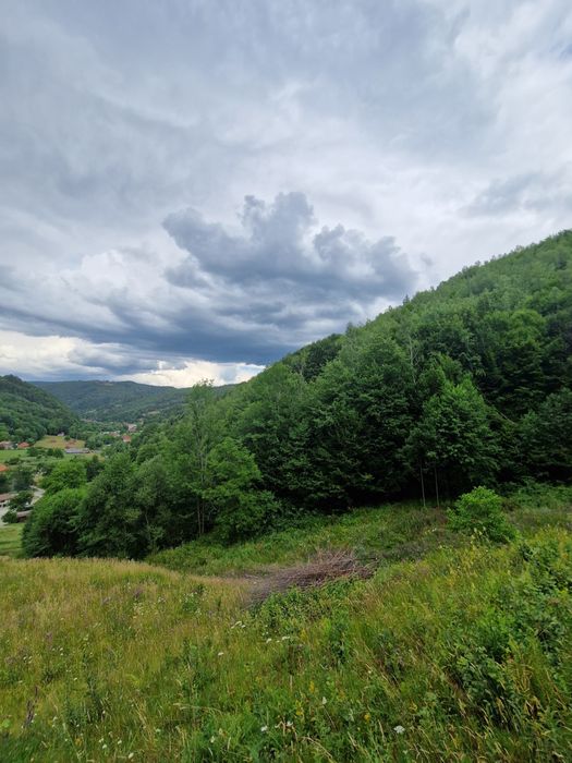 Teren intravilan Bulz-Munteni