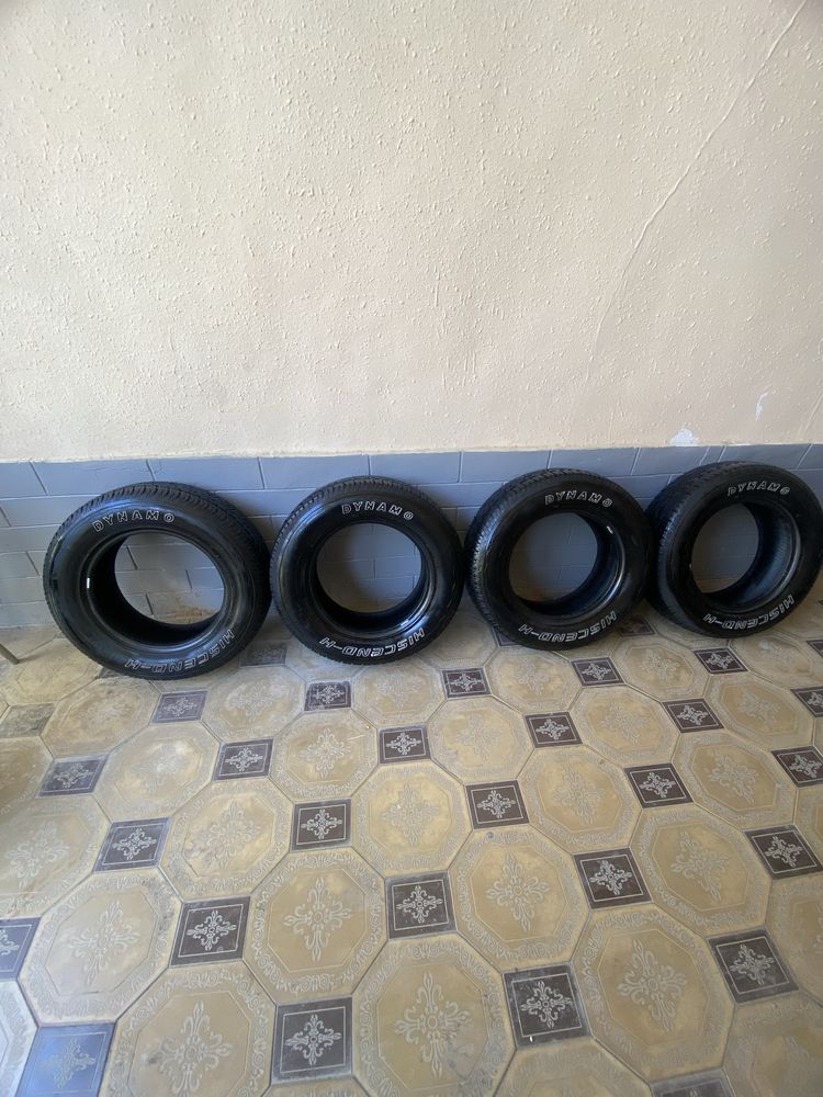 DYNAMO niva balon 215/R16/70  5/6 min yurgan