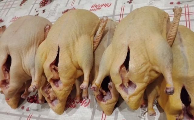 Мясо уток и гусей