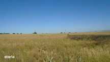 Teren Extravilan Galbenu, cota parte 1/2, ID: R2639994