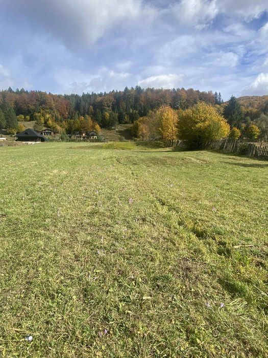 Vand teren in Voronet