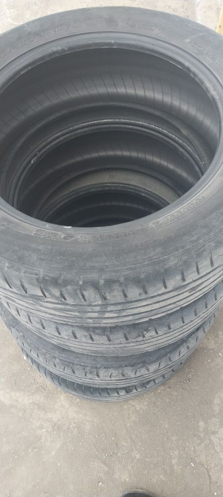 Жазғы донгелек жағдайы орташа