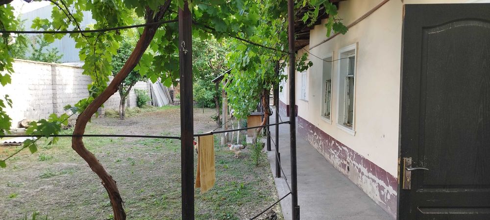 Mirzo Ulug'bek tumani qorasuv 6 kuva kochasi 64 uy