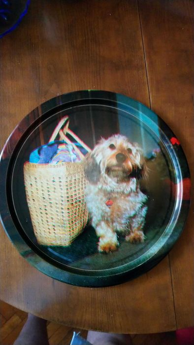 Рисуван метален поднос куче.