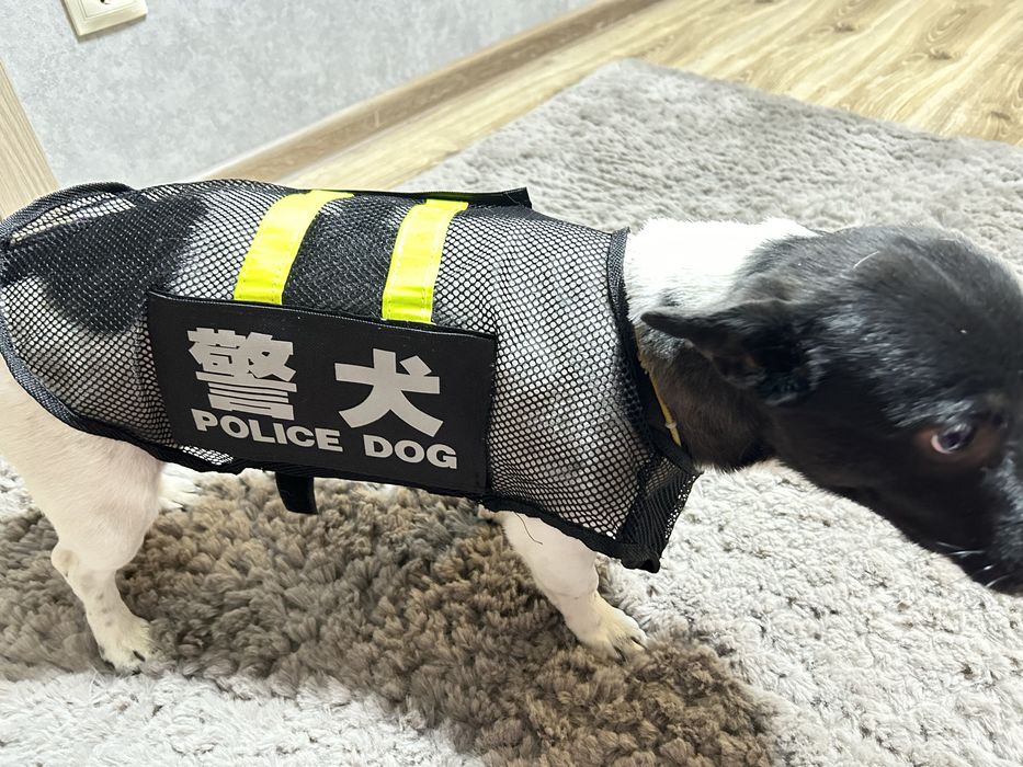 Вещи для собак. В отличном состоянии