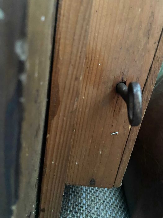 Icoana Muzicala veche de peste 100 ani