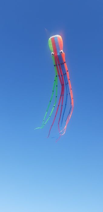 Воздушный Летучий змей,размер 20 метров