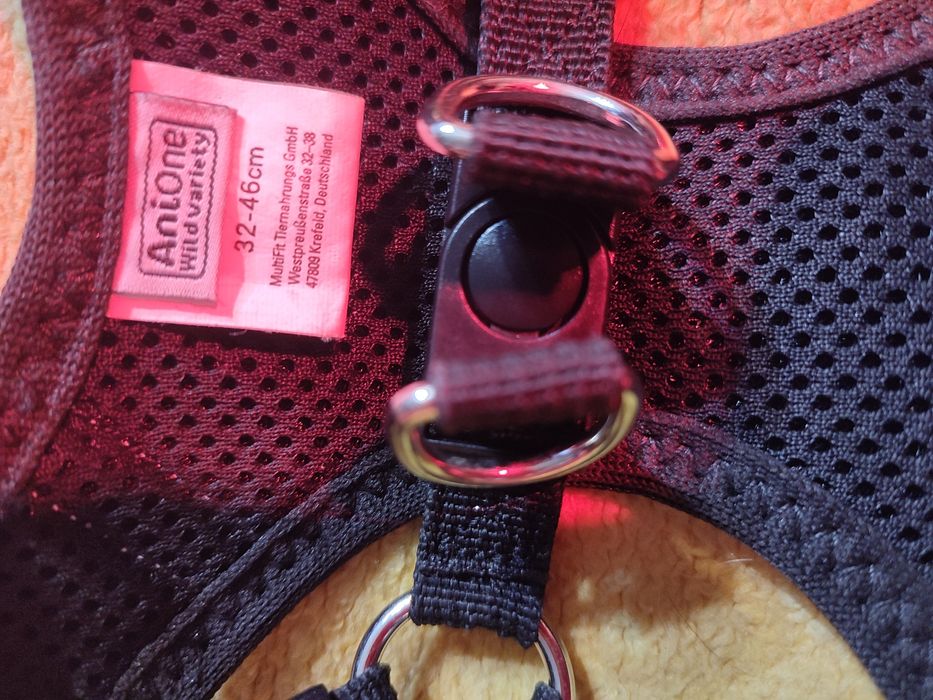 Vând ham pentru căței de talie mică