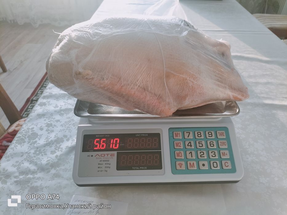 Продаются тушки гусей