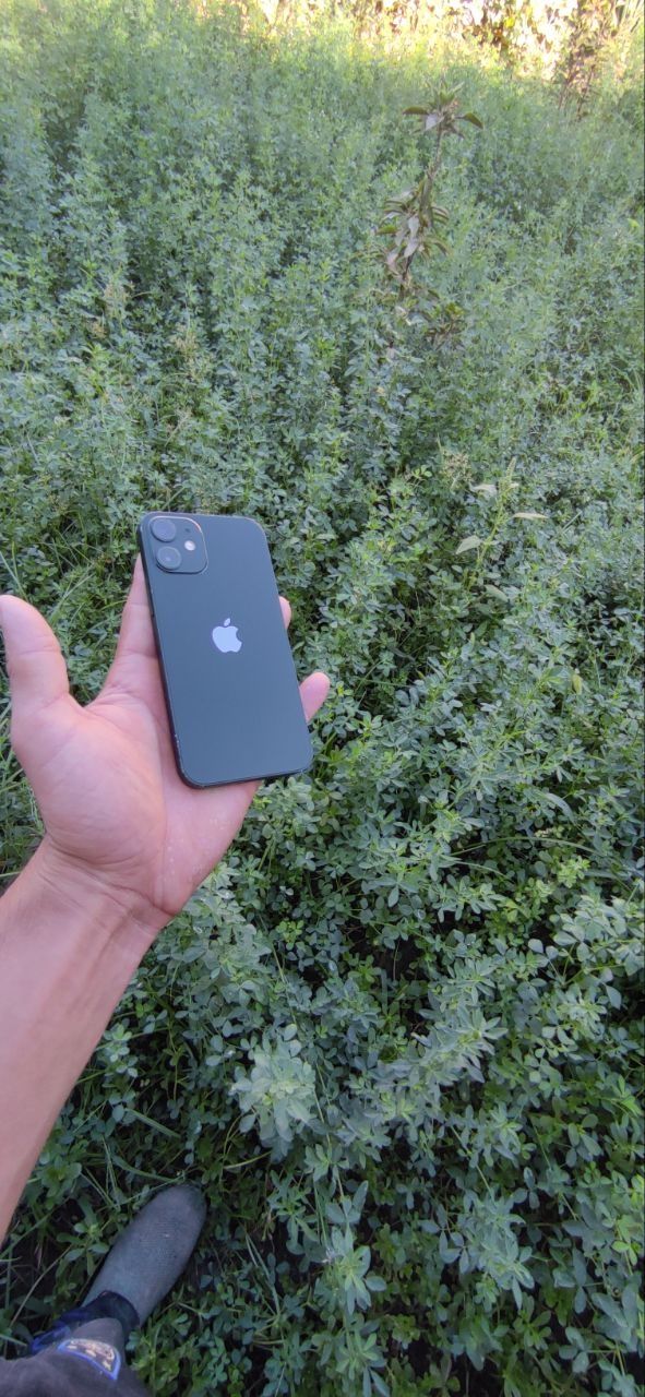 iPhone 12 mini 100% radnoyyy