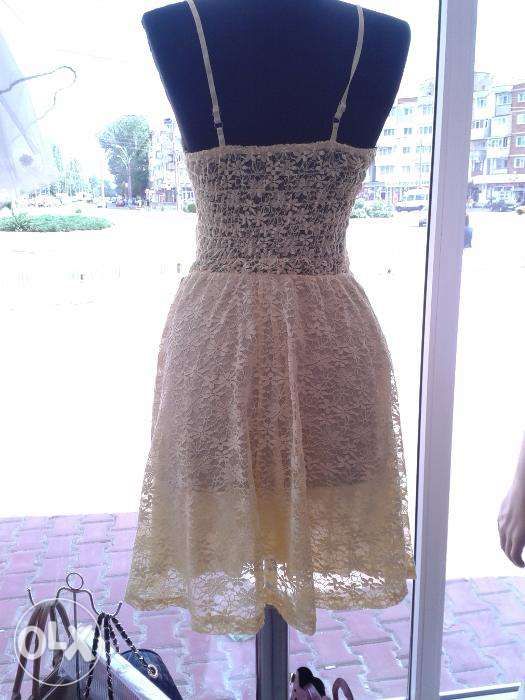 Rochita galbena de vara