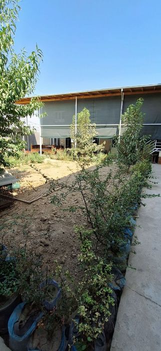 Eski 16 yillikda uchastka