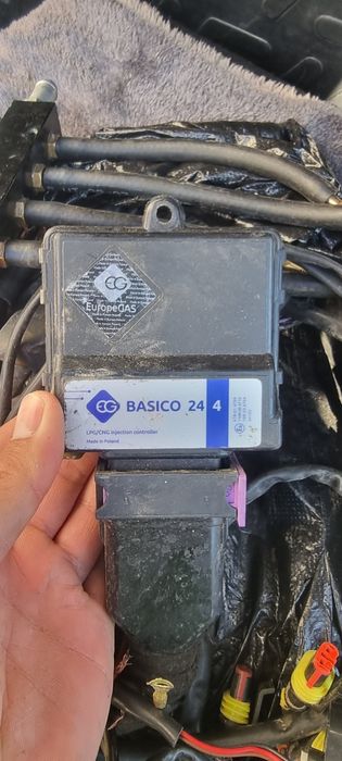 4 pakalena gaz  hamma narsasi bor