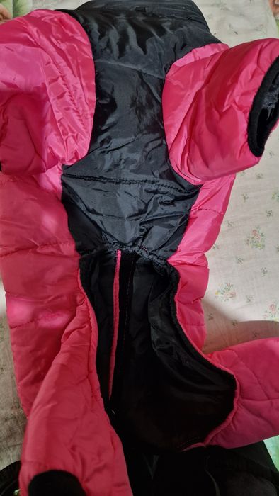 одежда для собак новый