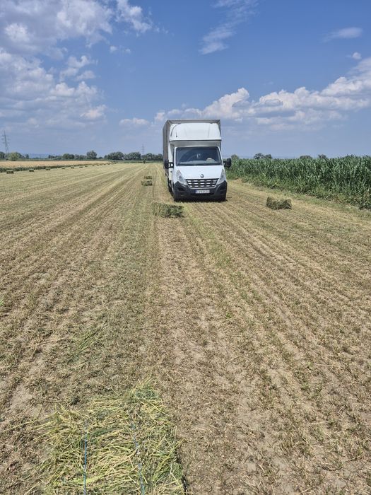Vand baloti de Lucerna fan productie 2025 transport la domicilu