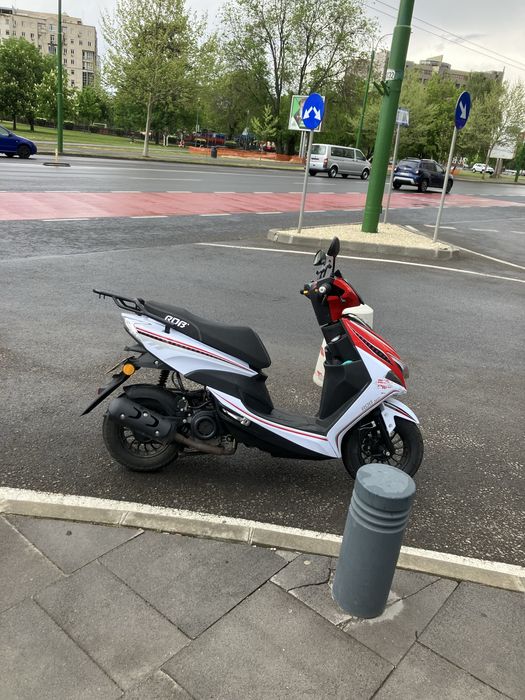 Scuter      50 cc