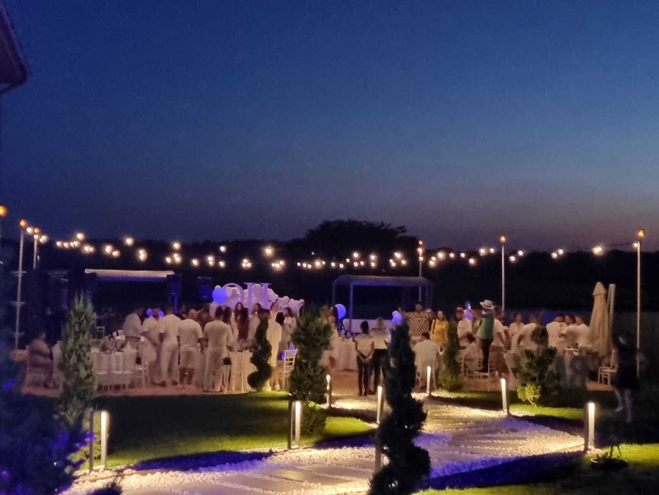 Vila petreceri private