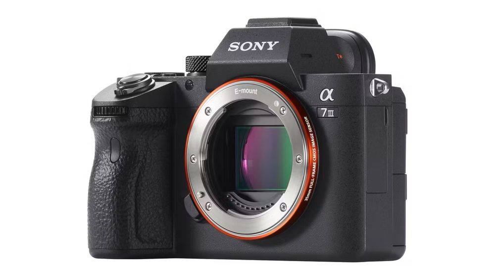 Sony a7 III и Sigma 70-200
