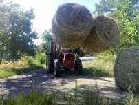 Vând tractor fiat 680 dt 4x4, cu încărcător frontal și plug reversibil