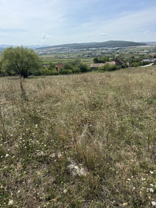 Vand teren intravilan 29 ari front 24 la drum comuna Hereclean