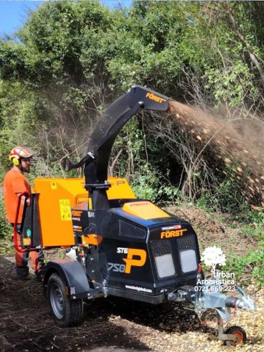 Toaletare Taiere Copaci Pomi, Tocat, Stropit - Alpinist Arborist Buzău