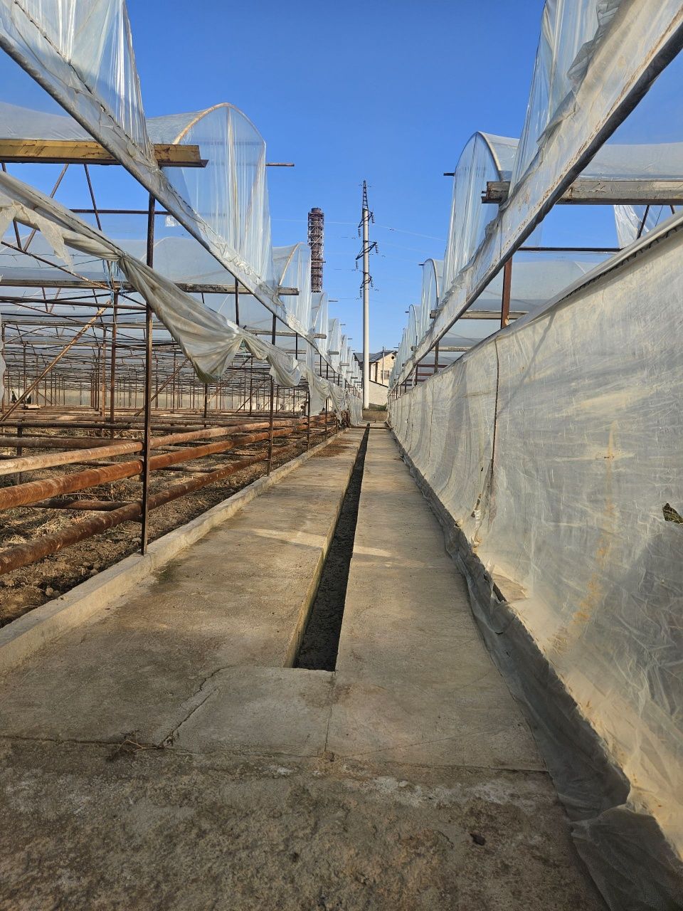 Isiqxona agenda, Nazarbek harakat Muz Impeks, 1 gektar 80 sotix