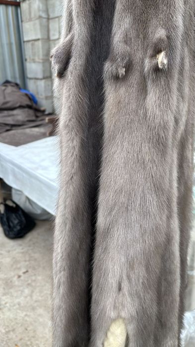 БОБР ，шкурки бобра