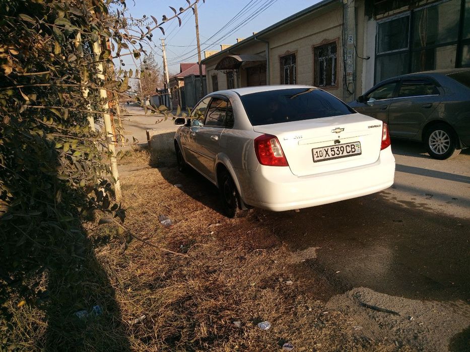 Мошина тоза 2015