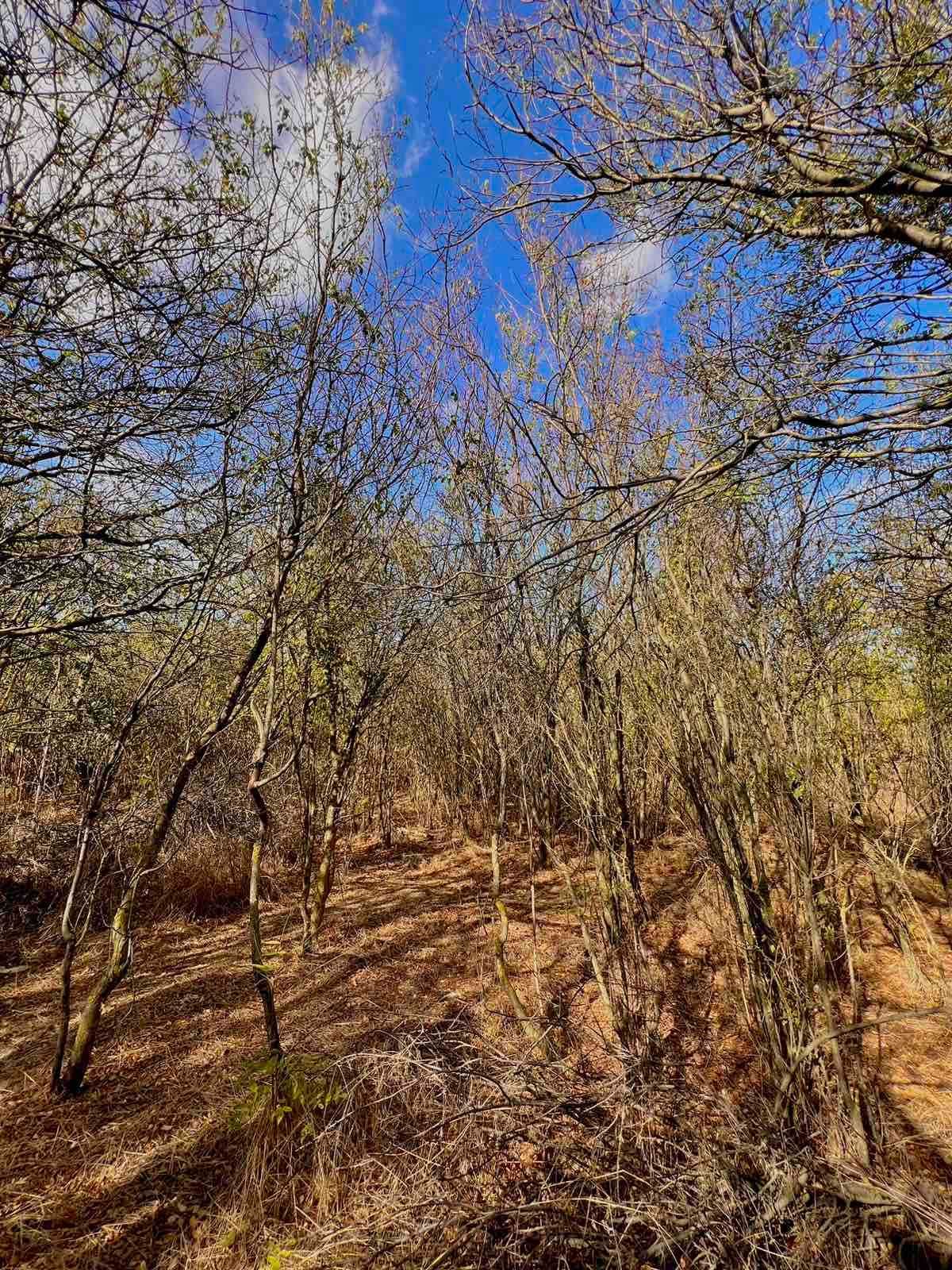 Парцел в село Захари Стояново, област Добрич