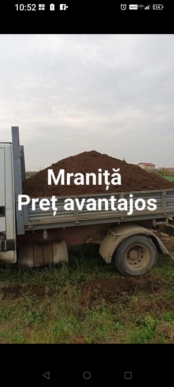 Pamint negru vegetal  si mranită- gunoi de grajd , nisipurii gradină