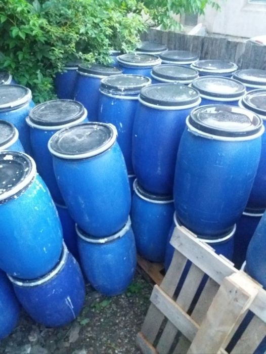 Prune fermentate din livada proprie – 2,5 lei/kg
