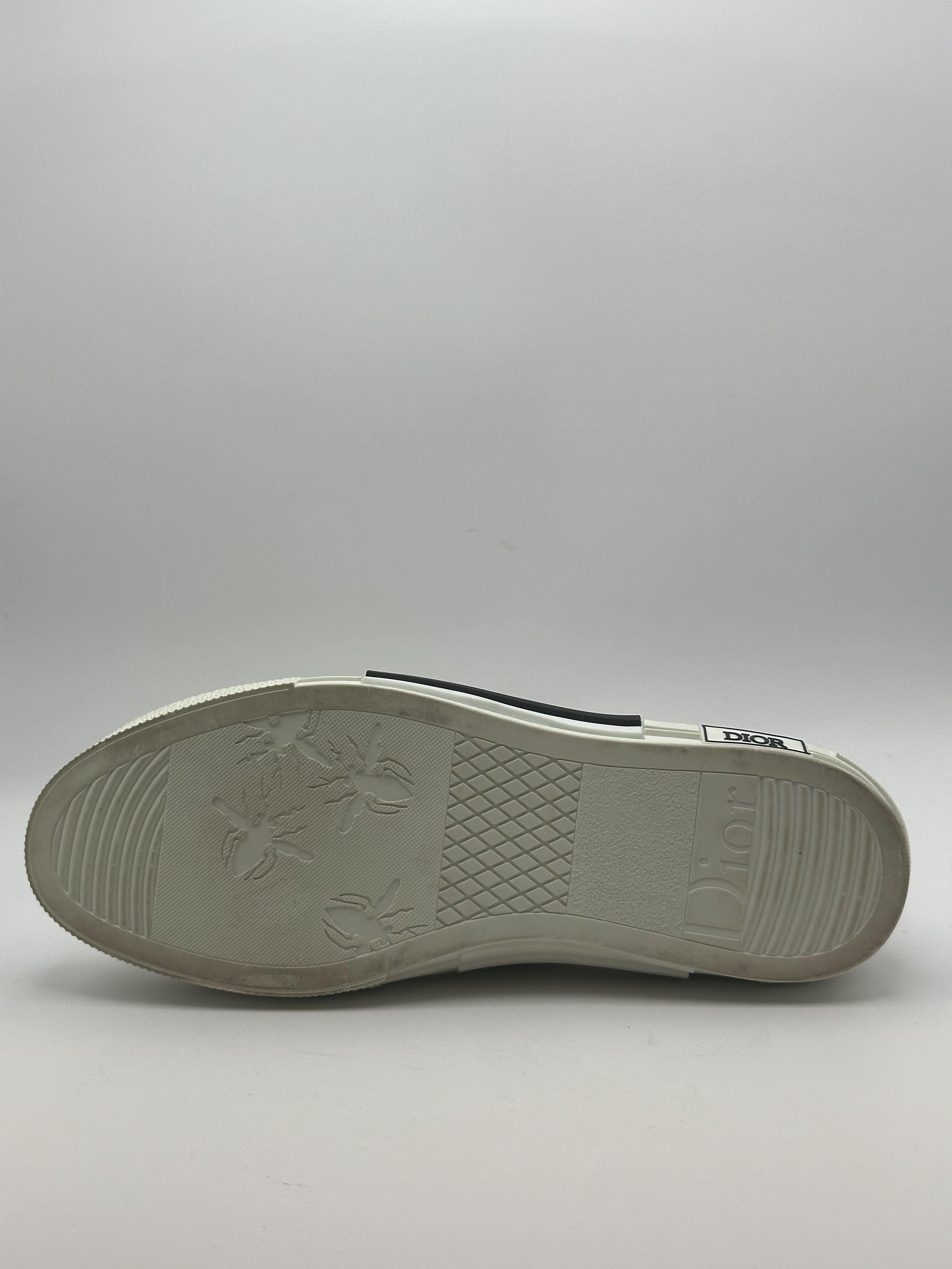 Dior B23 Low Top White