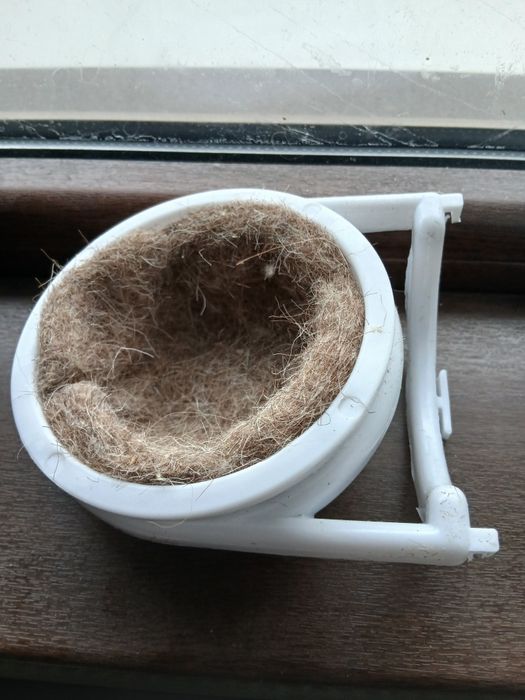 Vânzare cuib intern