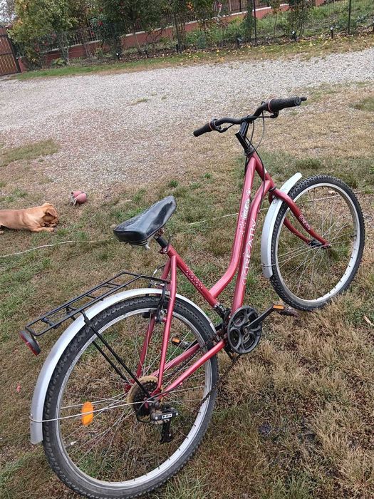 Bicicleta dame Kreativ