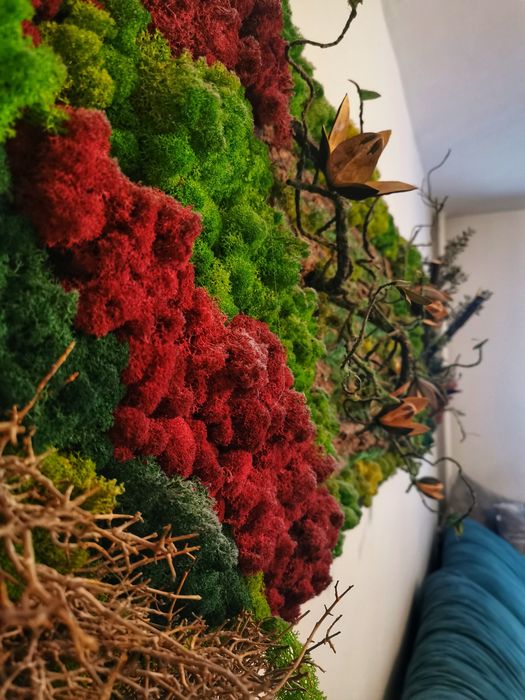 Vând tablou licheni