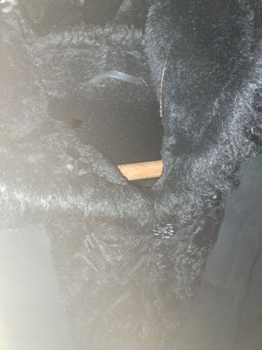 Cojoc din blana naturala Favior