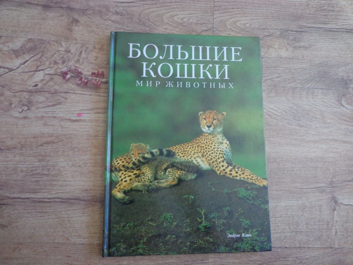 Книги Мир животных. Издательство Белфакс