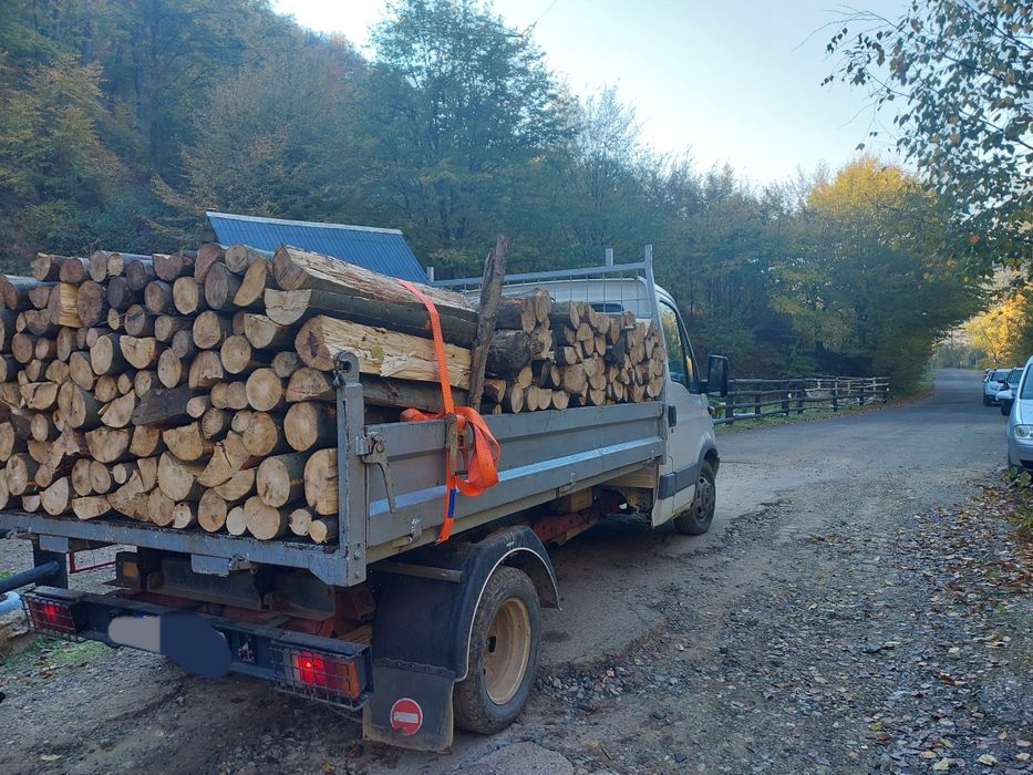 Vand lemne de foc fag crăpături