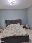 Vila P+1 Tulucesti