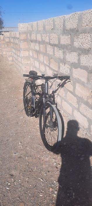 Велосипед Giant Roam 2