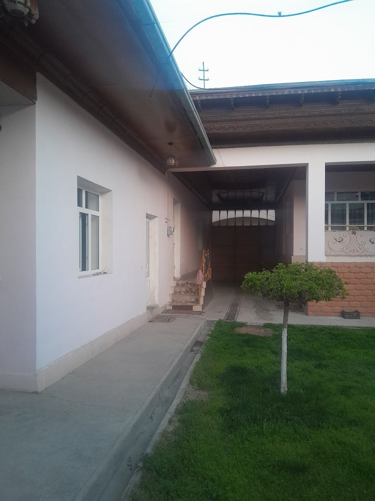 uysotilad srochna