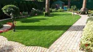 Газон уруғдан экиш, руллонли ётқизиш хизматлари