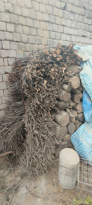 Отинлар сотилади нархи келишилади