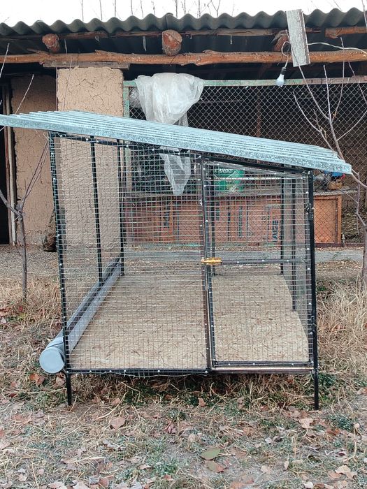 Tovuq katak sotiladi