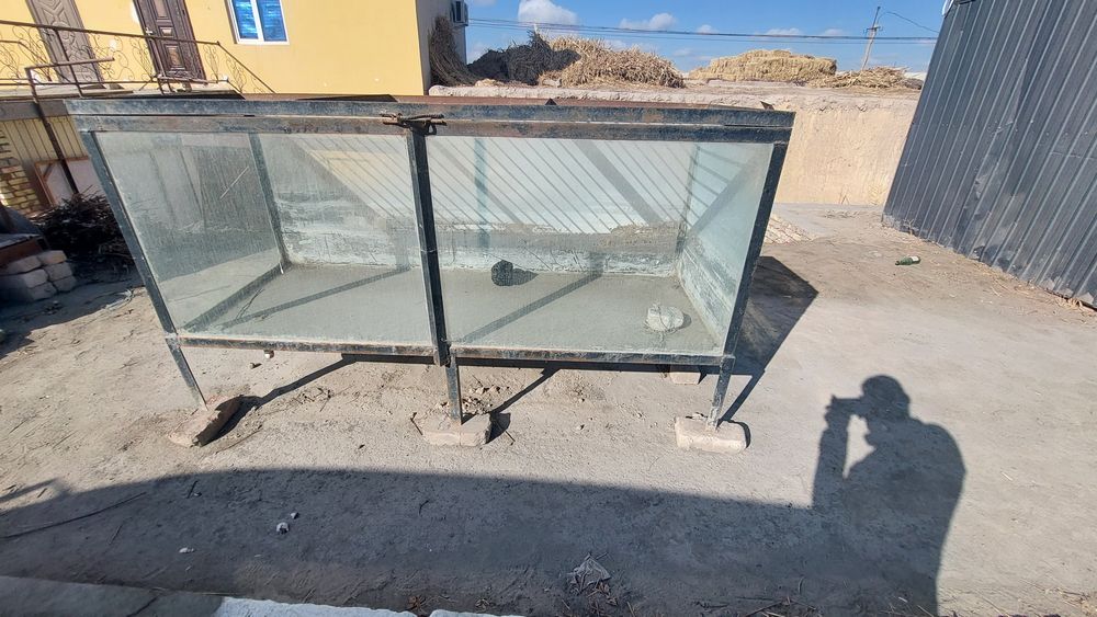 Konteyner baliq saboy sotiladi akvariumi bilan