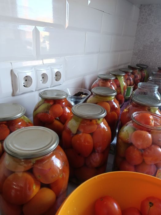 Помидоры маринованные